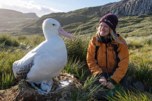 Dr Lucy Quinn with an albatross