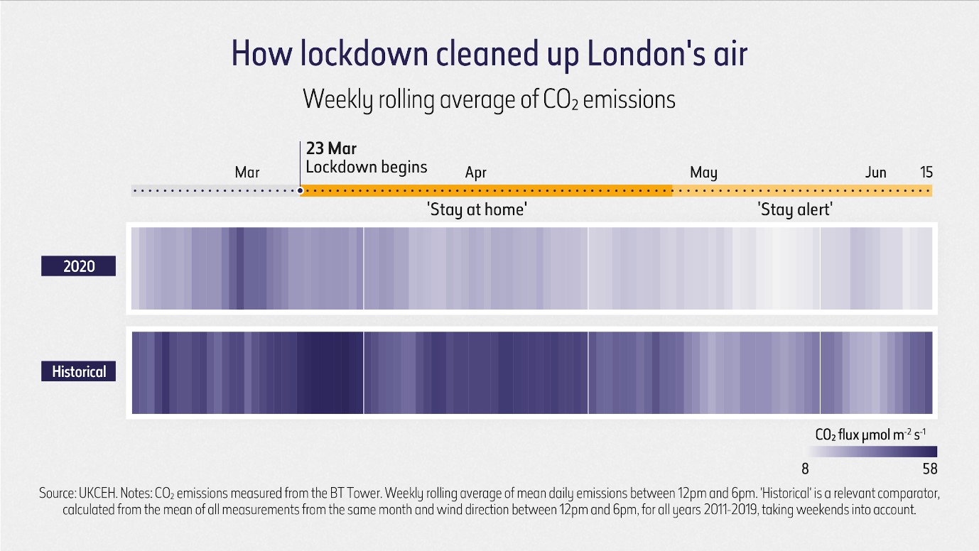 Lockdown sightings chart