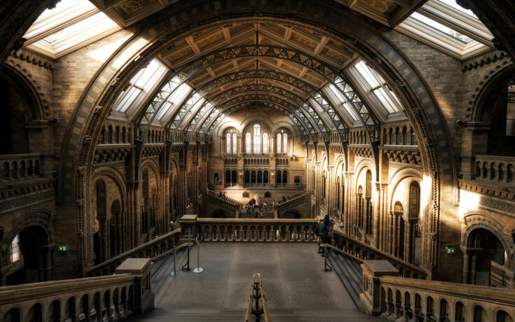 Natural History Museum hall