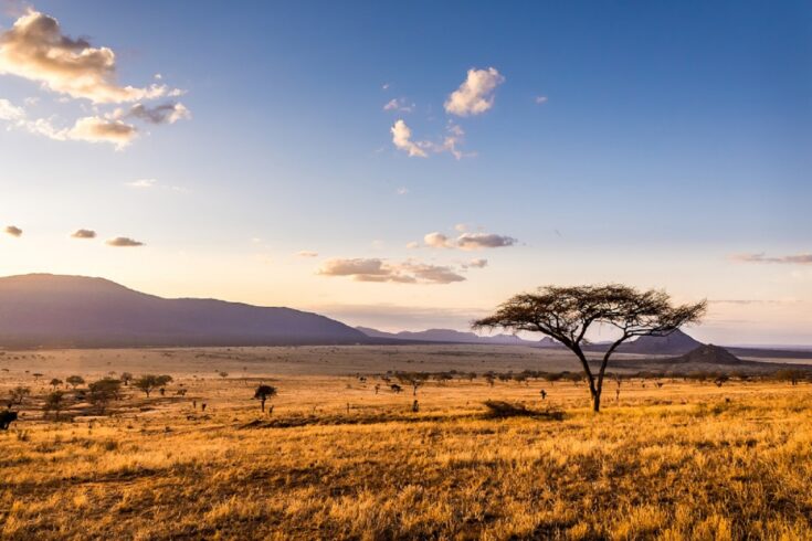 African landscape