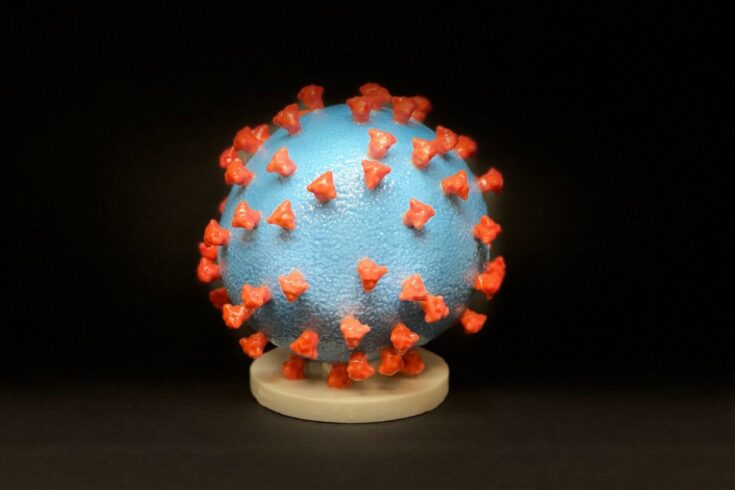 COVID-19 virus