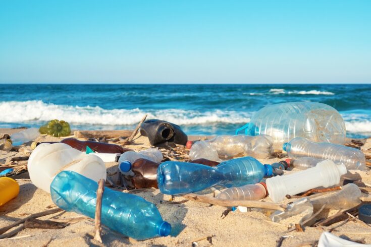 Plastic waste on a beach