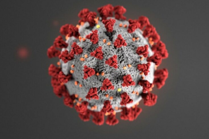 COVID-19 virus