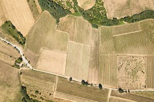 Satellite photo of fields.