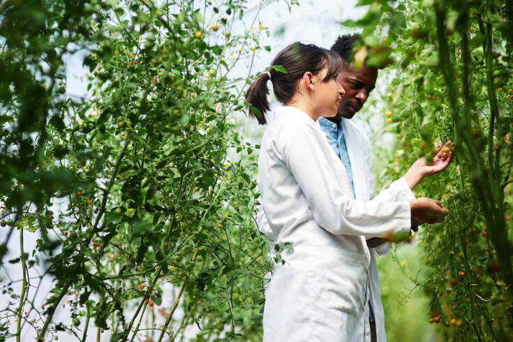 Shot of two young botanists working and studying plants together outdoors in nature