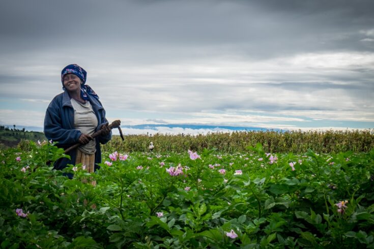 Female potato farmer standing smiling on a potato field in Kenya, Africa