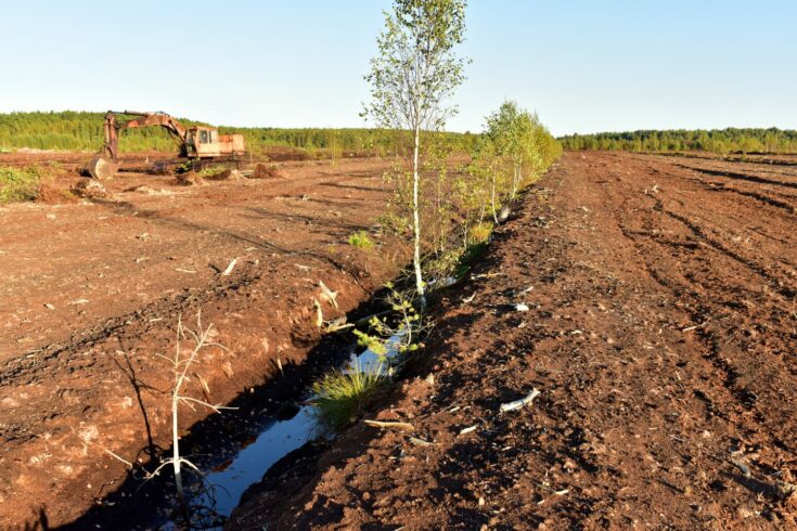 Landscape on peatlands