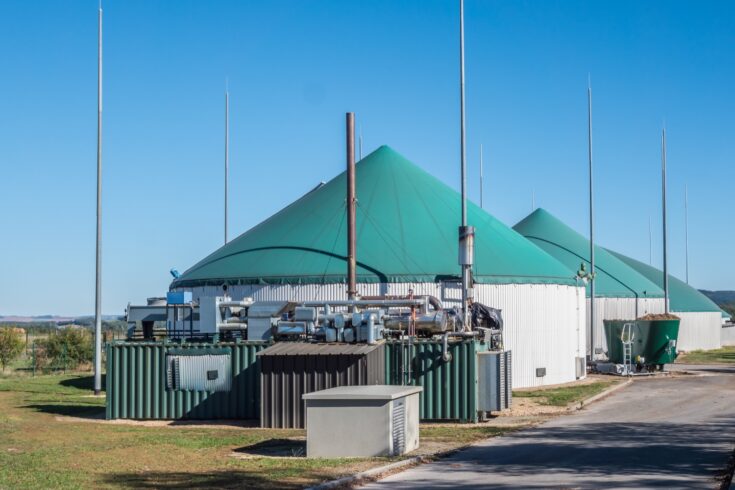 Industrial biogas plant