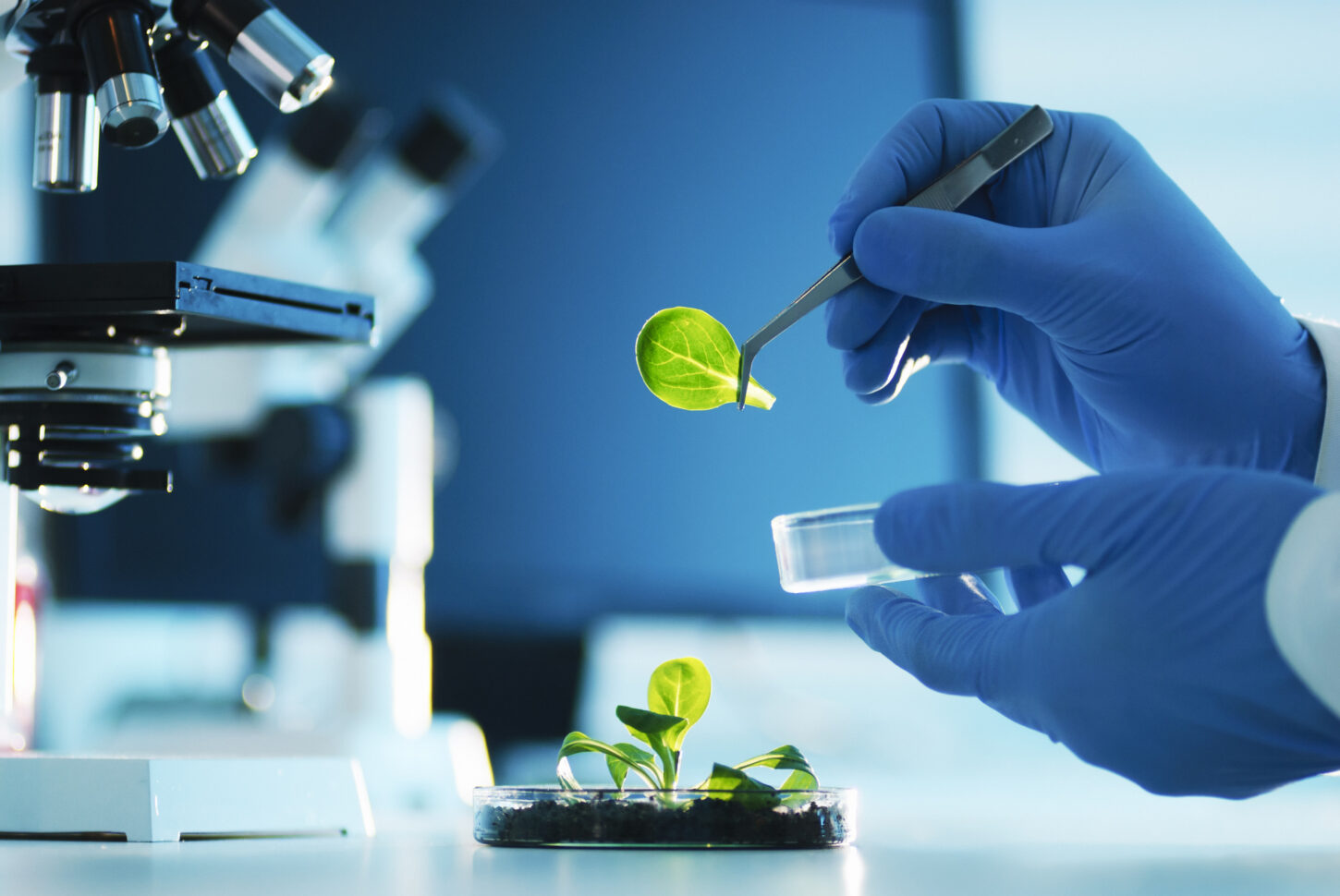 Can biotech help turn UK PLC green? UKRI