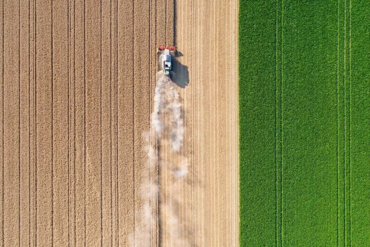 Harvesting a wheat field, dust clouds