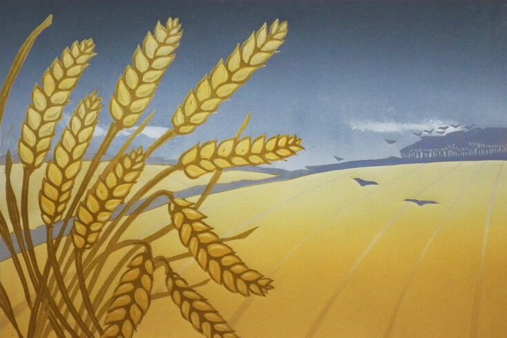 Wheat field