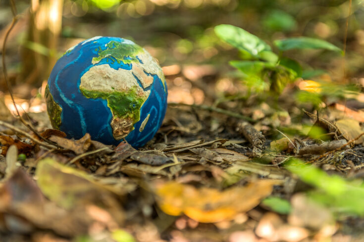 Conceptual image of planet Earth on the ground.