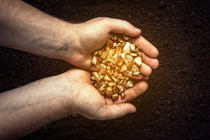 Gold nuggets the hands of a miner