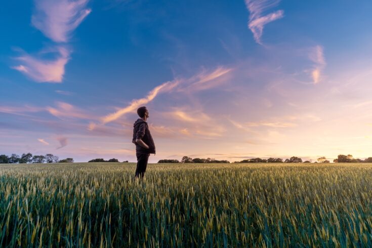 Man gazing at the sky at sunset in an open crop field