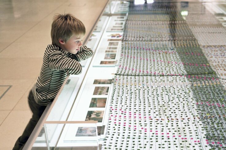 Boy looking at museum exhibit