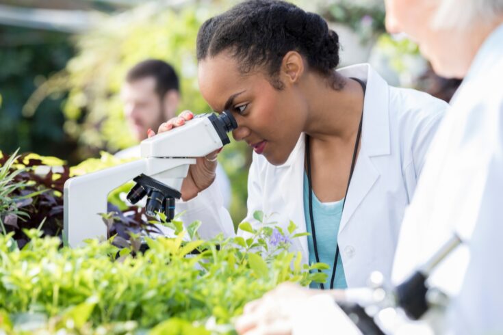 Female botanist uses microscope in greenhouse
