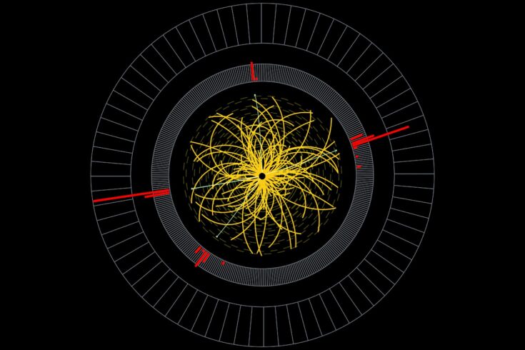 Higgs boson in large hadron collider