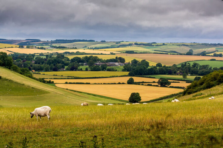 View of fields in Wiltshire countryside in England, UK.