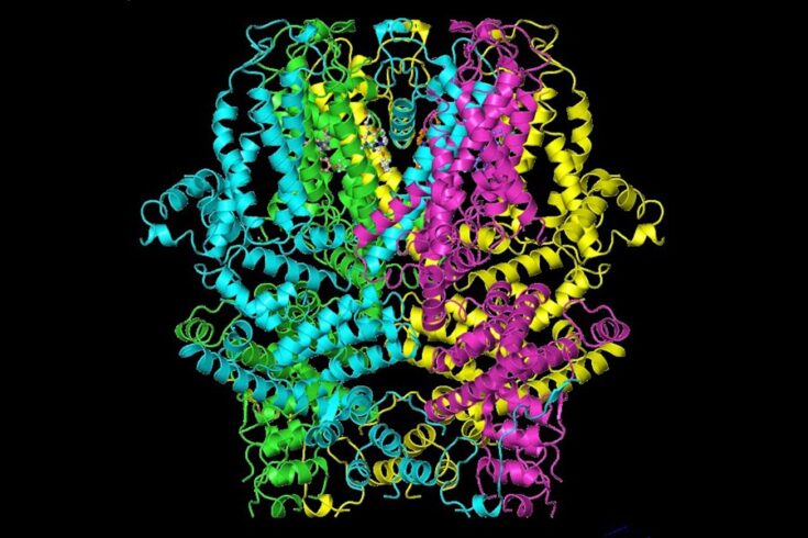 Human protein TRPC5