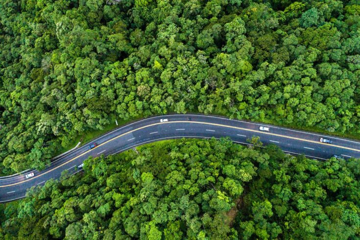 Aerial view of a road on a forest.
