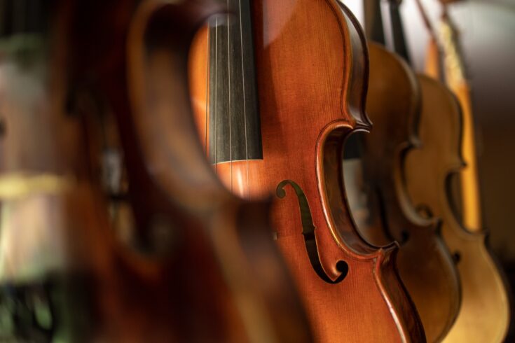 Close up view of violins