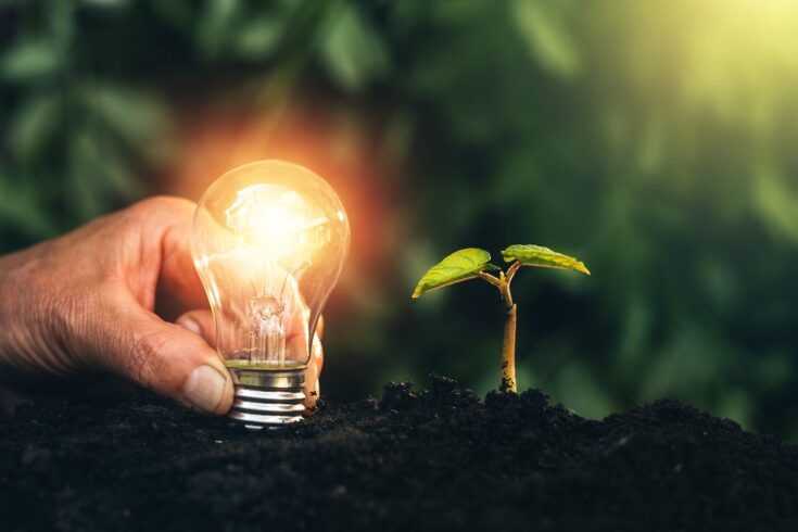 Iluminated light bulb is located on the soil. Eco energy. Renewable energy generation is essential in the future. Successful sustainable business and pollution reduction.