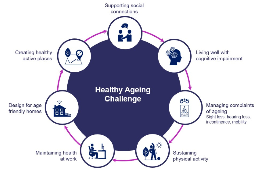 The seven themes of the healthy ageing challenge: creating healthy active places; design for age-friendly homes; living well with cognitive impairment; managing common complaints of ageing; maintaining health at work; supporting social connections; sustaining physical activity