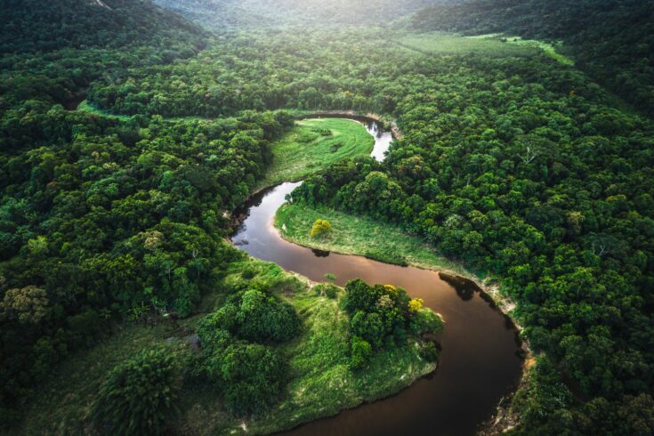 Atlantic Forest in Brazil from above