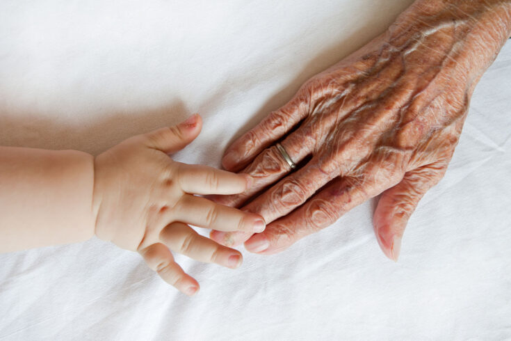 Grandparent and grand child hands together.