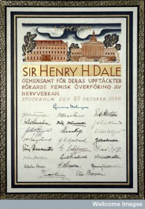 Sir Henry Dale's Nobel award