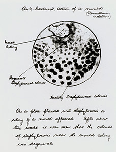 Historic medical notes