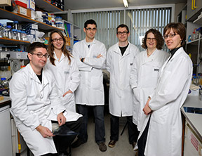 Group of MRC researchers