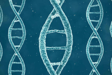 DNA strands