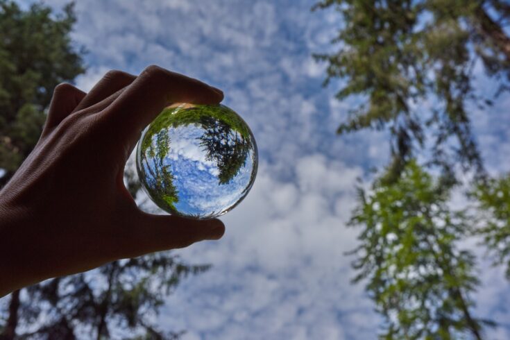 Hand holding a transparent globe with nature reflections inside it