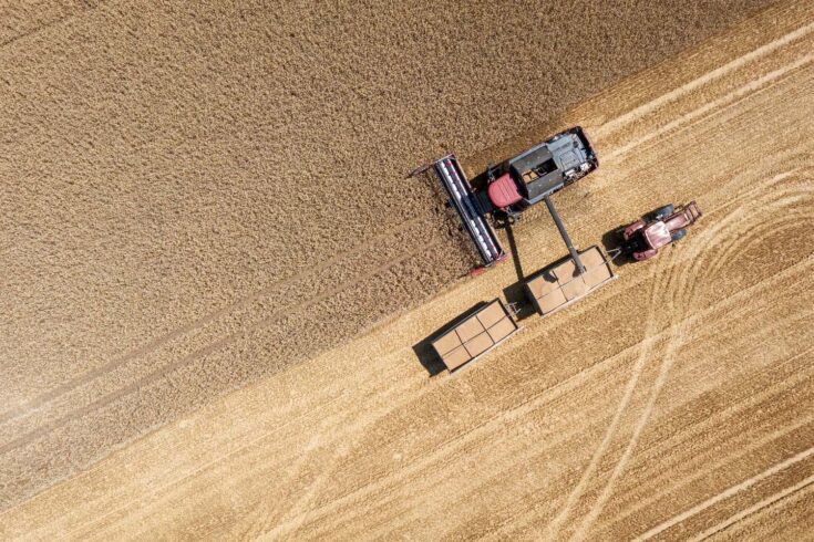 Thuringia, Germany: A harvester harvests wheat on a field, photographed directly from above.