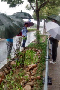 The team stood around a roadside runoff solution with umbrellas, Suzhou, China.