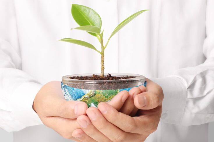 Human hands holding a plant in a plant pot, The pot is wrapped in an image of the Earth