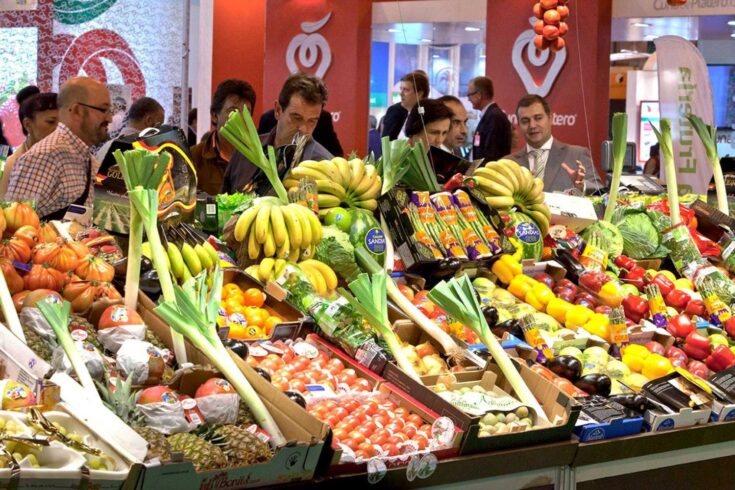 A market stall of fruits, including bananas, pineapples and tomatoes.
