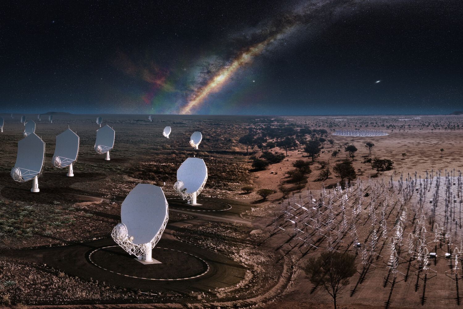 Meerkat telescope hot sale discoveries