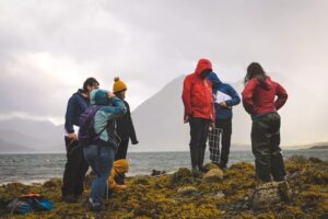 A group of people standing on a rocky shore surrounded by seaweed