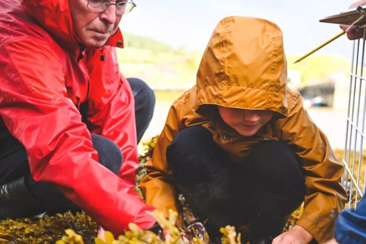 A child in a yellow raincoat looks at seaweed