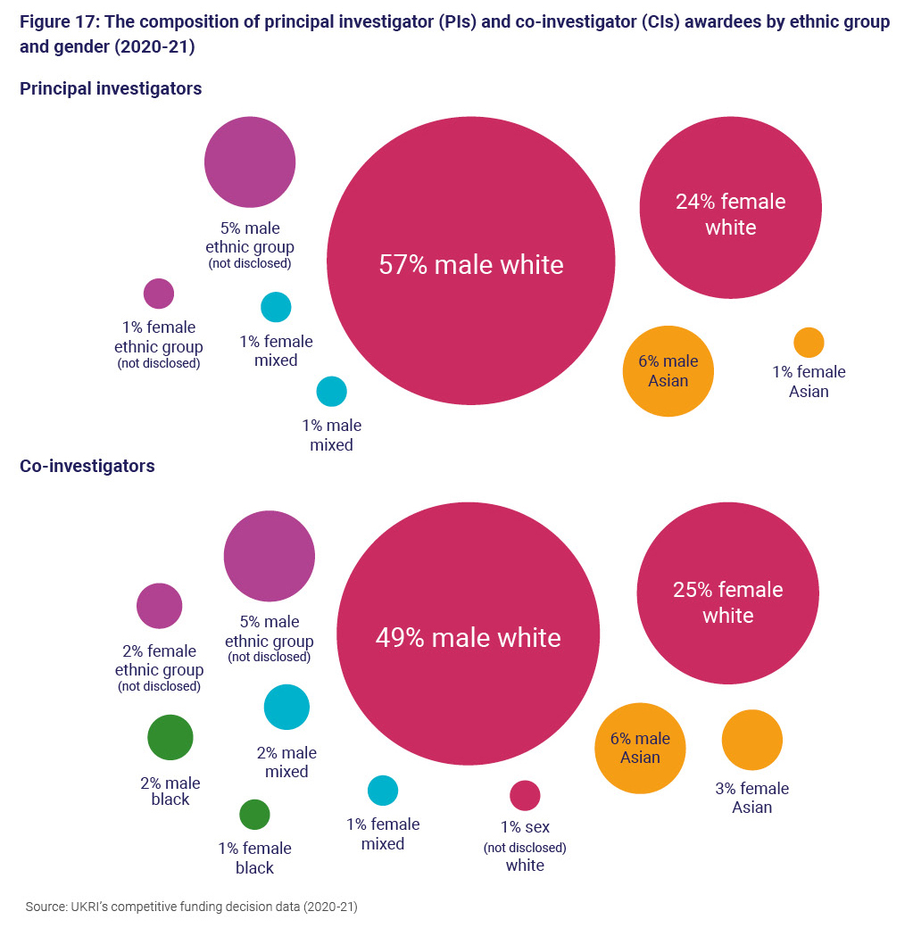 Figure 17: The composition of principal investigator (PIs) and co-investigator (CIs) awardees by ethnic group and gender (2020-21)