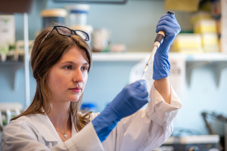 Woman scientist performing gene editing with crisper cas9 system.