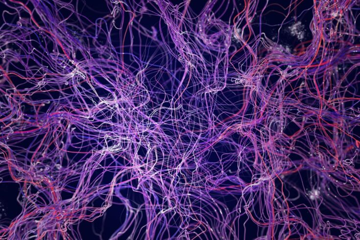 Brain connections, synapse, medical illustration under a microscope