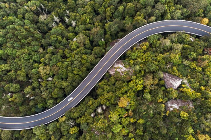 Aerial view of a road winding through a dense green forest