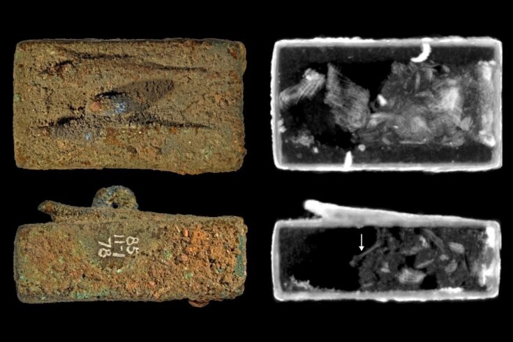 Right side is photograph of ancient Egyptian animal coffin and left show the image produced by the scan