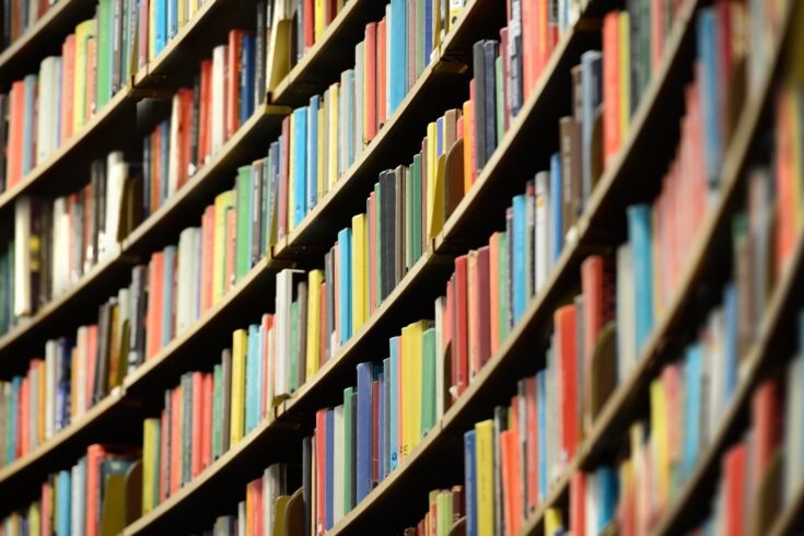 Colourful library bookshelf