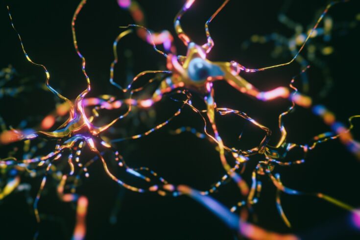 Interconnected neurons with electrical pulses