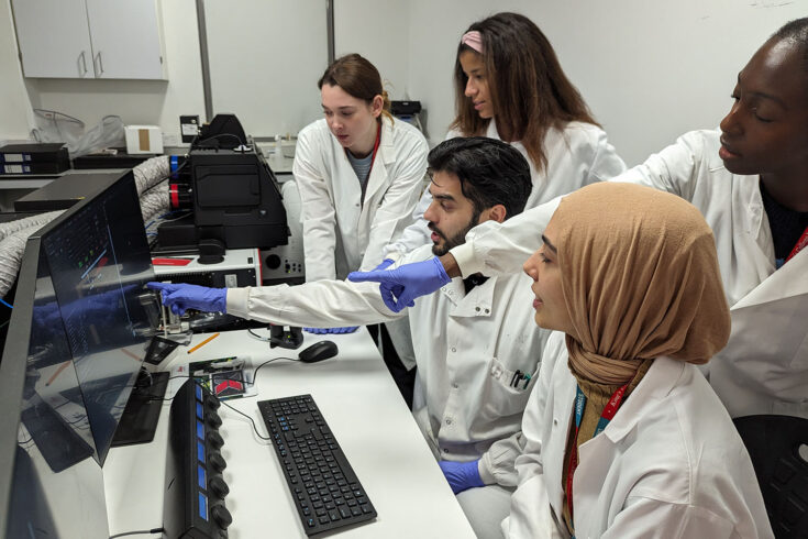 The Parsons Group working in their lab at King's College London.
