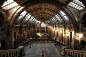 Natural History Museum, Hintze Hall